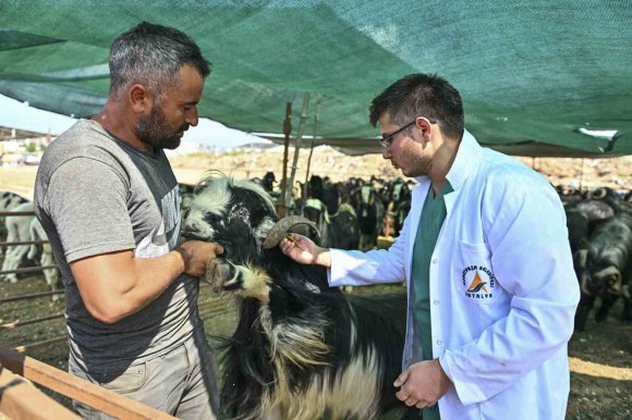 MURATPAŞA’DA KURBAN BAYRAMI HAZIRLIKLARI TAMAMLANDI