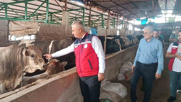 KURBAN BAYRAMI ÖNCESİ HAYVAN SATIŞ YERLERİNDE SIKI DENETİM