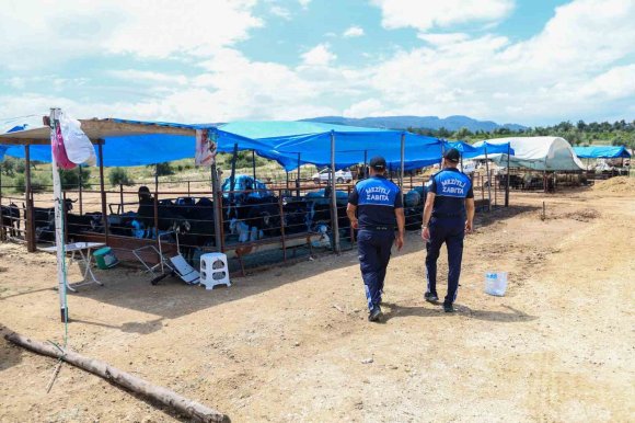 MEZİTLİ’DE KURBAN BAYRAMI ÖNCESİ SIKI DENETİM