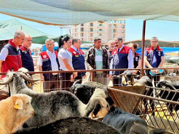 MERSİN’DE KURBAN BAYRAMI ÖNCESİ SATIŞ NOKTALARINDA SIKI DENETİM
