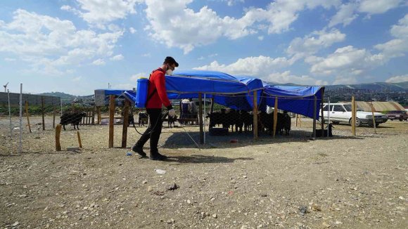 KAHRAMANMARAŞ’TA BAYRAM TEMİZLİĞİ VE İLAÇLAMA ÇALIŞMALARI SÜRÜYOR