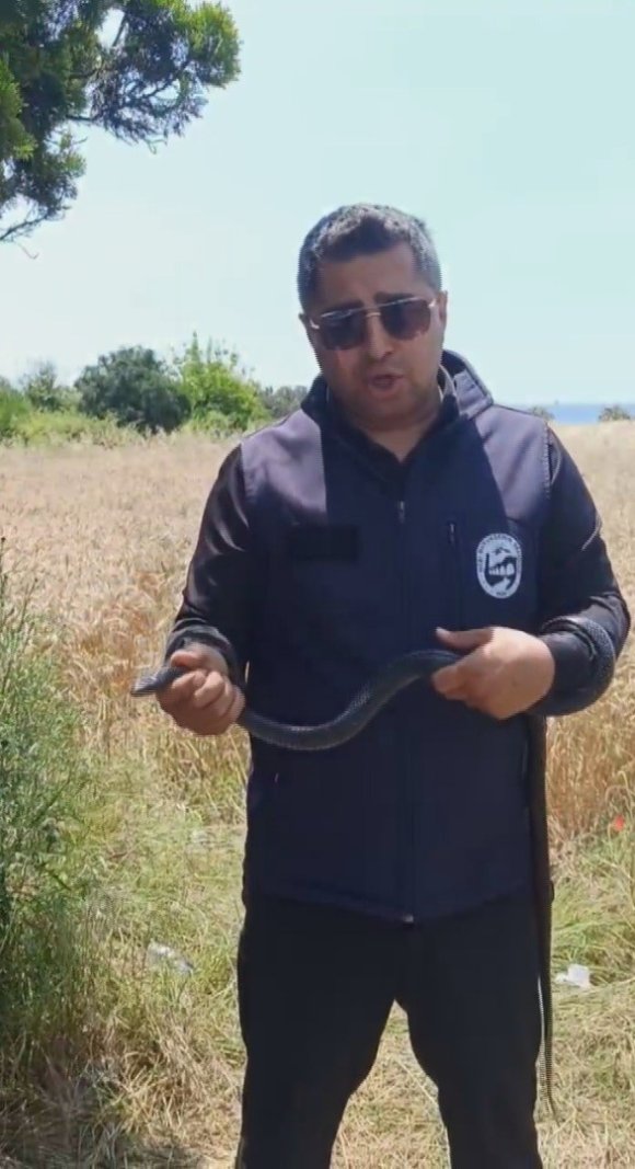 HATAY’DA YAŞLI KADININ EVİNE GİREN YILANI YAKALAYAN YILANCI KEMAL ‘SEVGİLİ KARAYILAN İNSANLARDAN UZAK DUR’ SÖZLERİYLE DOĞAYA SALDI