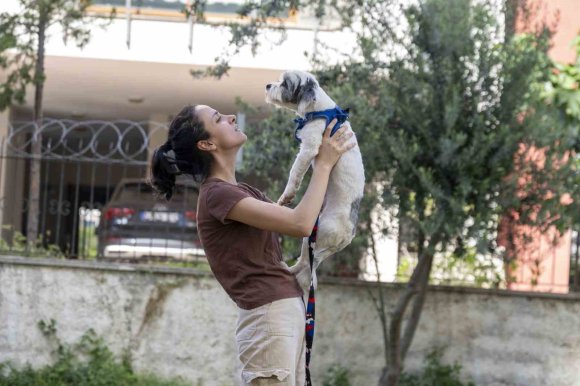 MERSİN’DE SAHİPLENDİRME KAMPANYASIYLA BİN 927 KÖPEK YENİ YUVASINA KAVUŞTU