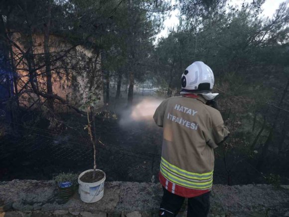 HASSA’DA ÇAMLIK ALAN YANGINI