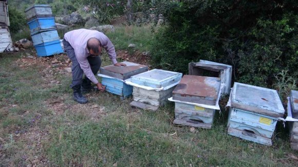KEVEN VE KEKİK BALI İÇİN YAYLA YOLCULUĞU BAŞLADI