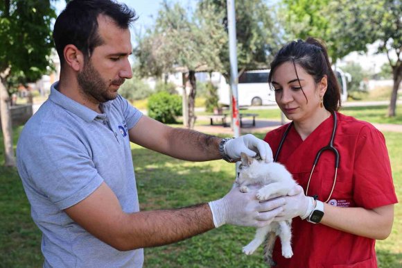 BÜYÜKŞEHİR’İN HAYVAN AMBULANSI CAN DOSTLARIN İMDADINA YETİŞİYOR