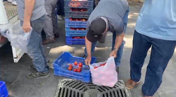 HALDE ALICI BULAMADIĞI 4 TON DOMATESİ VATANDAŞLARA ÜCRETSİZ DAĞITTI