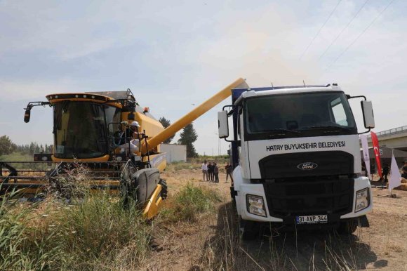 HATAY’DA "HER TOHUM BİR GIDA" PROJESİNDE EKİLEN BUĞDAY HASAT EDİLDİ