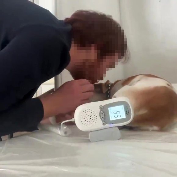 AİLE SAĞLIĞI MERKEZİNDEKİ SEDYEDE KÖPEK TEDAVİ EDEN DOKTORUN SKANDAL İFADELERİ YENİDEN GÜNDEM OLDU
