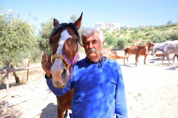 KAHRAMANMARAŞ’TA KAÇAN ATLARI TRAFİK POLİSLERİ SAHİBİNE TESLİM ETTİ