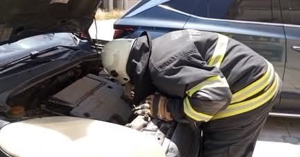 ARSUZ’DA ARACIN MOTOR KISMINA GİREN YAVRU KEDİ KURTARILDI