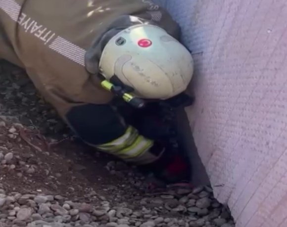 MOLOZ YIĞINI ALTINDA KALAN YAVRU KEDİ KURTARILDI