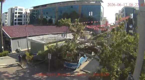 OSMANİYE’DE ÇINAR AĞACI, HALK OTOBÜSÜNÜN ÜZERİNE DÜŞTÜ: SANİYELERLE KURTULDU