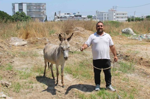 ADANALILAR EŞEKLERİN SAHİBİNİ ARIYOR