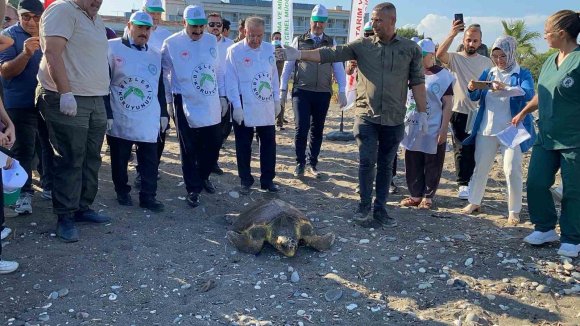 TEDAVİSİ TAMAMLANAN 3 DENİZ KAPLUMBAĞASI YENİDEN DENİZLE BULUŞTU