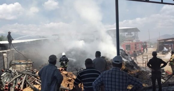 HASSA’DA SAMANLIK YANGINI
