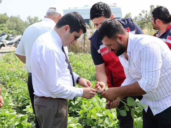 ARSUZ’DA SOYA EKİMİ YAPILDI
