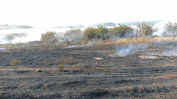 ANTALYA’DA OTLUK ALAN YANGINI İTFAİYE EKİPLERİNCE SÖNDÜRÜLDÜ