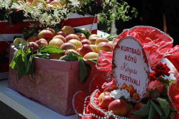 GELENEKSEL KURTBAĞI KAYISI FESTİVALİ YOĞUN KATILIMLA GERÇEKLEŞTİ