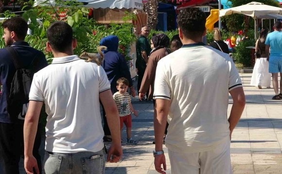 SİNCAP TATİLDE: YARALI BULDU, İYİLEŞTİRDİ, KIZKALESİ’NDE GEZİNTİYE ÇIKARDI