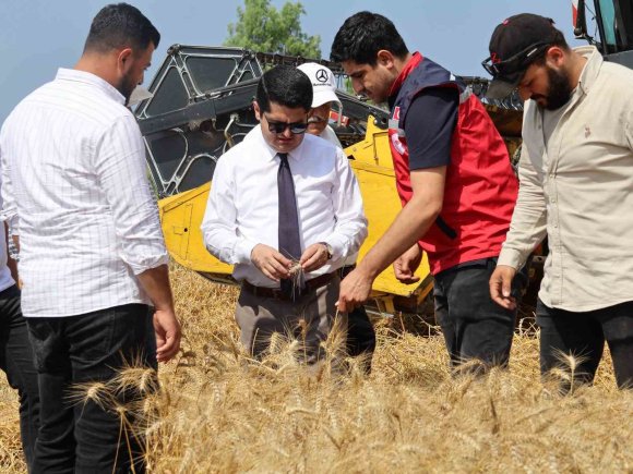 ARSUZ’DA BUĞDAY HASADI DEVAM EDİYOR