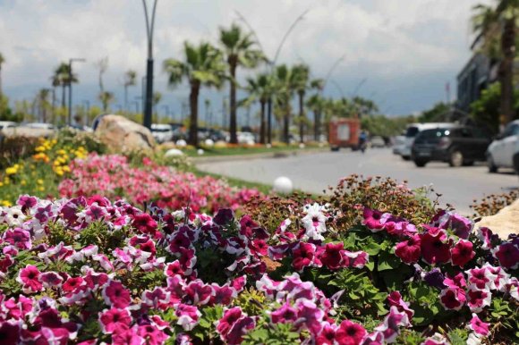 İSKENDERUN SAHİLİ RENKLİ ÇİÇEKLERLE SÜSLENDİ.