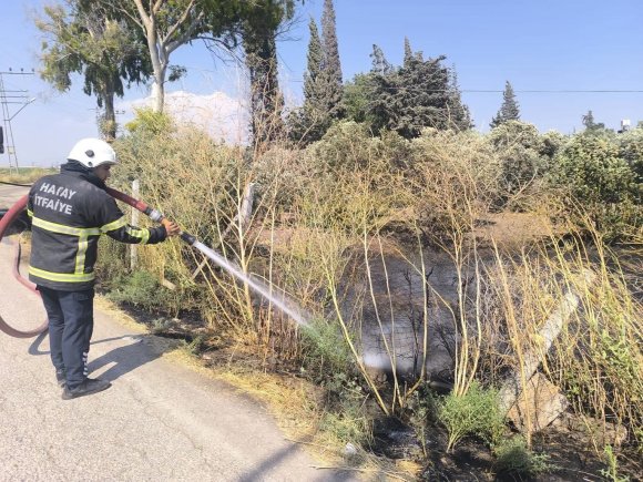 REYHANLI’DA ZEYTİNLİK ALANDAN ALEVLER YÜKSELDİ