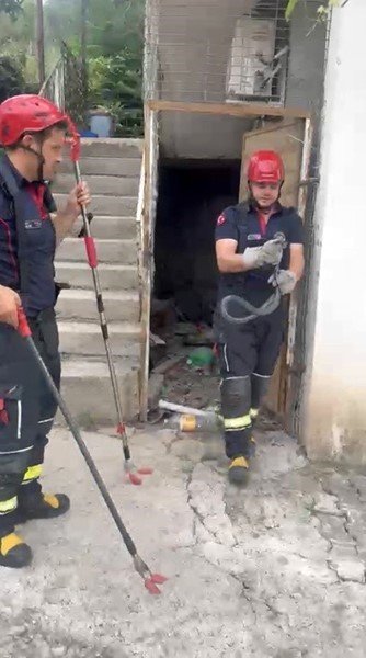 OSMANİYE’DE EVİN BAHÇESİNDE GÖRÜLEN YILAN YAKALANDI