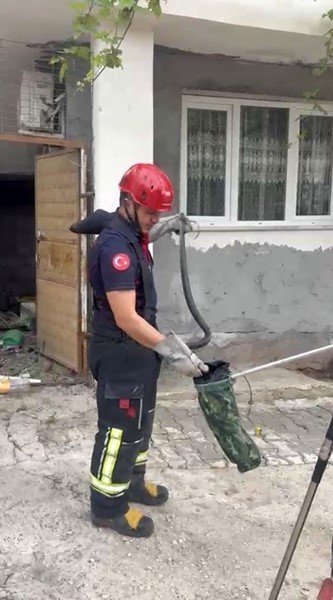 OSMANİYE’DE EVİN BAHÇESİNDE GÖRÜLEN YILAN YAKALANDI