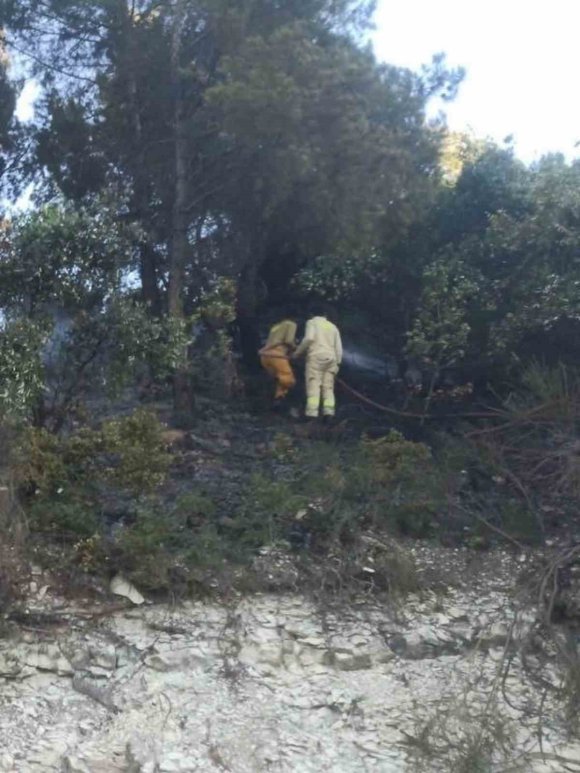 YAYLADAĞI’NDA ORMANLIK ALANDA ÇIKAN YANGIN KONTROL ALTINA ALINDI
