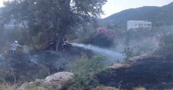 HASSA’DA ZEYTİNLİK ALAN YANGINI