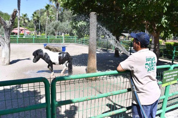 TARSUS DOĞA PARKI’NDA SEVİMLİ DOSTLARA SERİNLETEN İKRAM