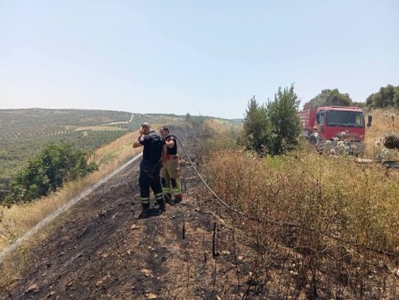 ALTINÖZÜ’DE ANIZ YANGINI