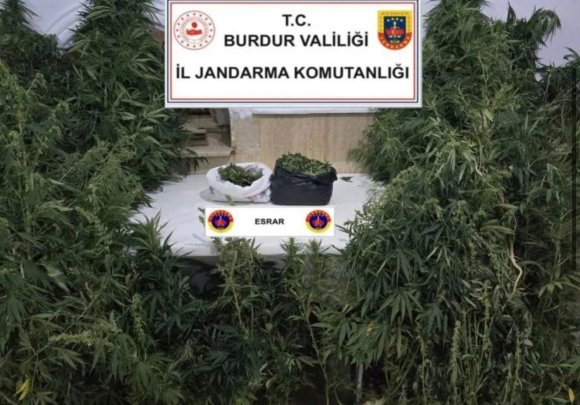 KENEVİRLERİ SULARKEN SUÇÜSTÜ YAKALANDI