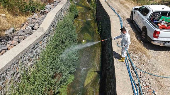 KAHRAMANMARAŞ’TA SİVRİSİNEK VE HAŞERELERE KARŞI MÜCADELE