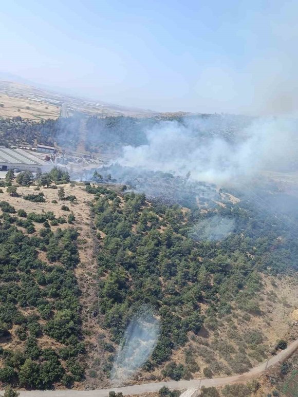 KAHRAMANMARAŞ’TA ORMAN YANGINI