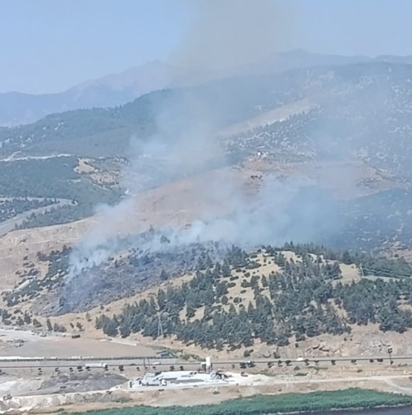 KAHRAMANMARAŞ’TA ORMAN YANGINI