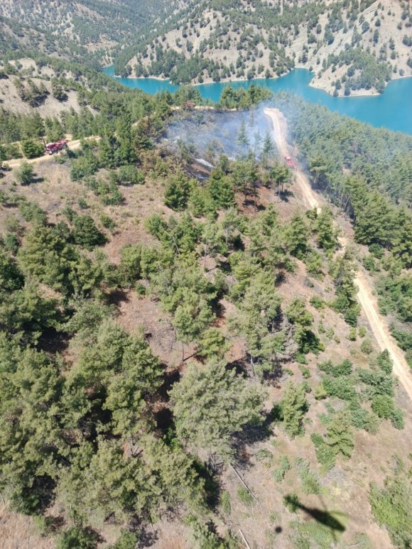 KAHRAMANMARAŞ’TA ORMAN YANGINI