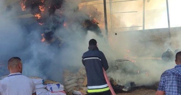 KUMLU’DA SAMANLIKTA ÇIKAN YANGINDA 3 BUZAĞI TELEF OLDU