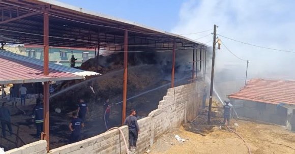 KUMLU’DA SAMANLIKTA ÇIKAN YANGINDA 3 BUZAĞI TELEF OLDU