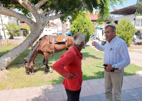 MERSİN’DE BİTKİN DÜŞEN AT YENİ YUVASINA KAVUŞTU