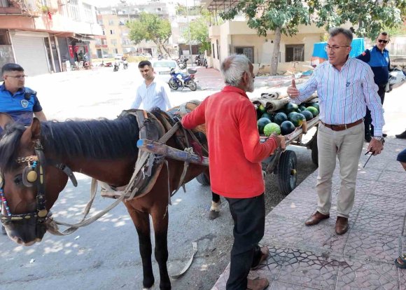 MERSİN’DE BİTKİN DÜŞEN AT YENİ YUVASINA KAVUŞTU