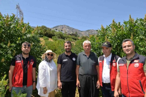 KAHRAMANMARAŞ’TA 22 BİN SUMAK FİDANI VERİME GEÇTİ