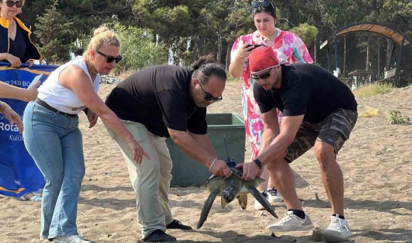 MERSİN’DE UYDU TAKİP CİHAZI TAKILAN 2 KAPLUMBAĞA TEKRAR DENİZLE BULUŞTU
