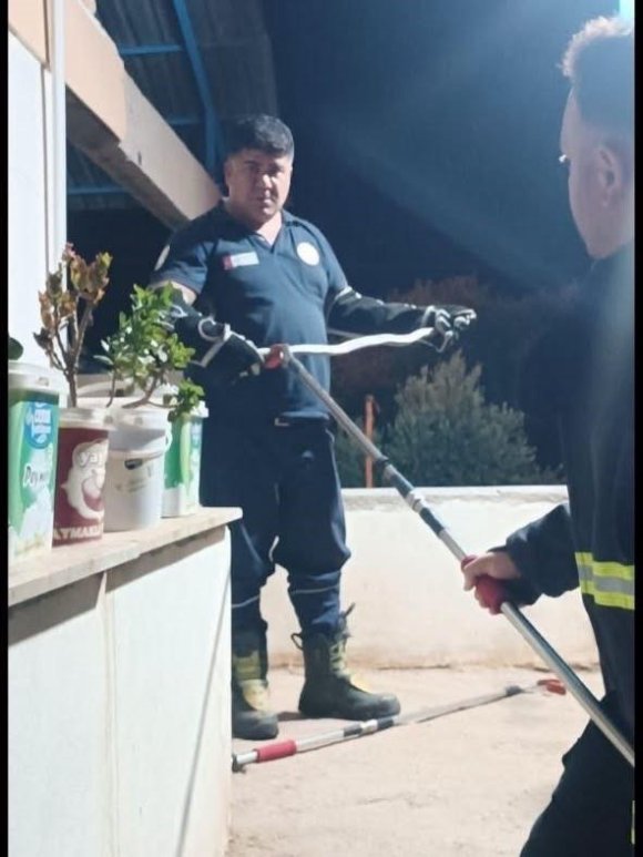 HASSA VE ERZİN’DE YERLEŞİM ALANLARINA GİREN YILANLARI İTFAİYE YAKALADI