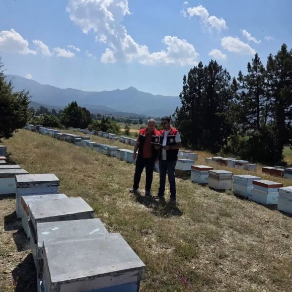 BURDUR’DA ARILI KOVANLAR DENETLENİYOR