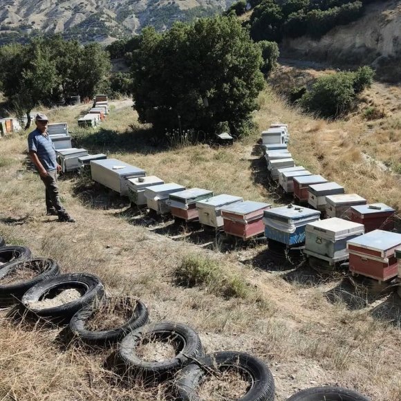BURDUR’DA ARILI KOVANLAR DENETLENİYOR