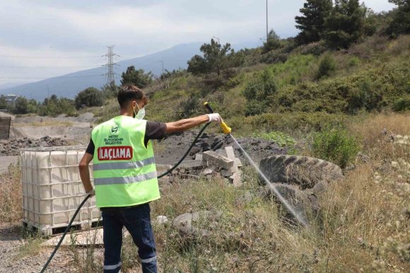 HATAY BÜYÜKŞEHİR BELEDİYESİ, HAŞERELERE KARŞI VATANDAŞLARI BİLİNÇLENDİRİYOR