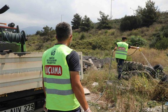 HATAY BÜYÜKŞEHİR BELEDİYESİ, HAŞERELERE KARŞI VATANDAŞLARI BİLİNÇLENDİRİYOR