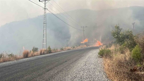 ALANYA’DAKİ YANGINA 95 ARAÇ VE 320 PERSONELLE MÜDEHALE EDİLİYOR